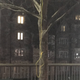 Noose found hanging from a tree at Duke University
Duke People of Color Caucus via Tumblr